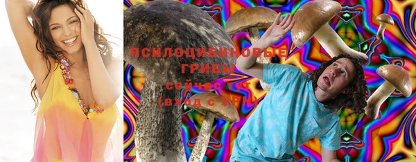 трава Козловка