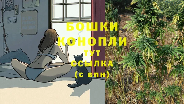 трава Козловка
