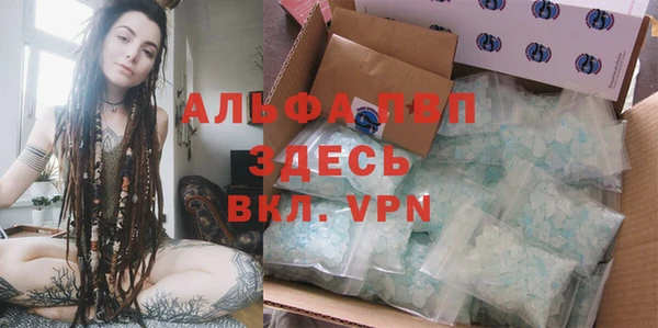 амф Карпинск