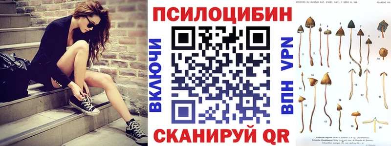 купить закладку Спас-Клепики Галлюциногенные грибы Cubensis